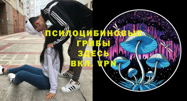 дурь Алзамай
