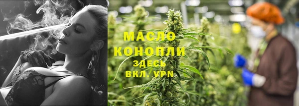 дмт Алексин