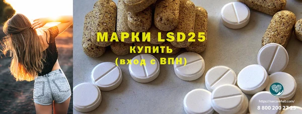 гидропоника Дмитриев