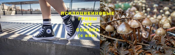 дурь Алзамай