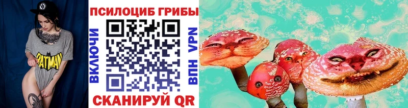где можно купить наркотик  Байкальск  Галлюциногенные грибы Magic Shrooms 